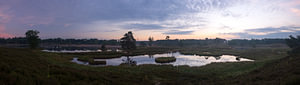 Panorama des Overpasseler Rieds bei Sonnenaufgang