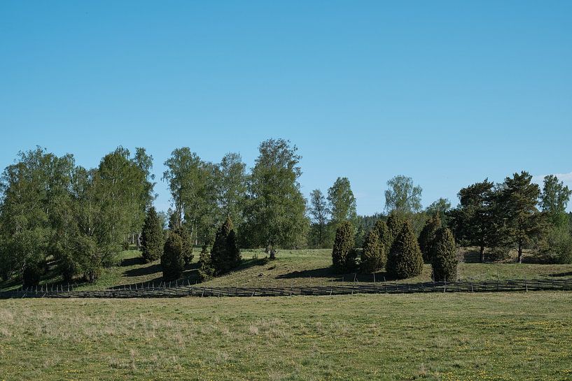 Sweden507 by Geertjan Plooijer
