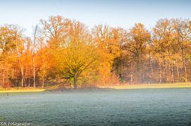 Automne 2020 sur N-Joy Pictures