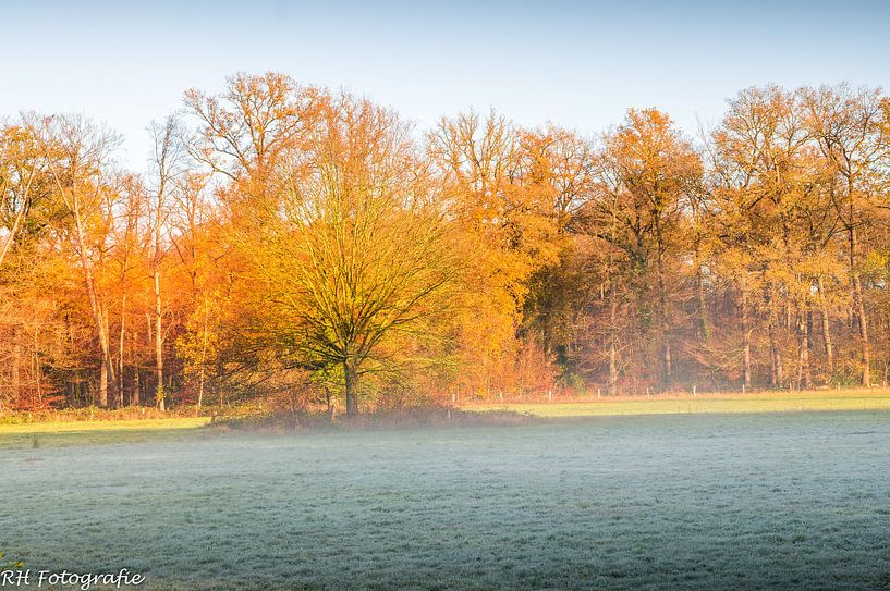 Autumn 2020 by N-Joy Pictures