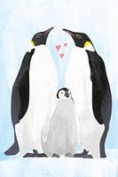 Penguins with baby penguin