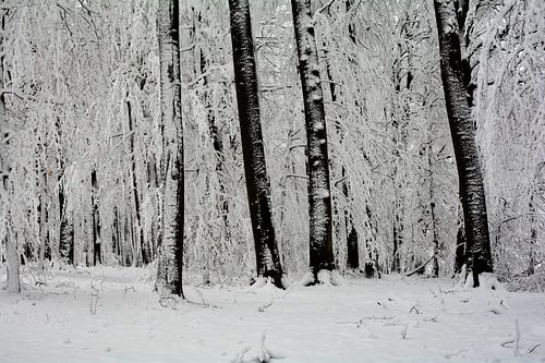 Wintertijd