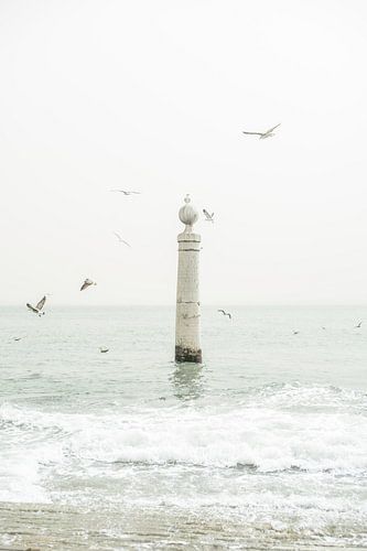 Meeuwen en Atlantische Oceaan