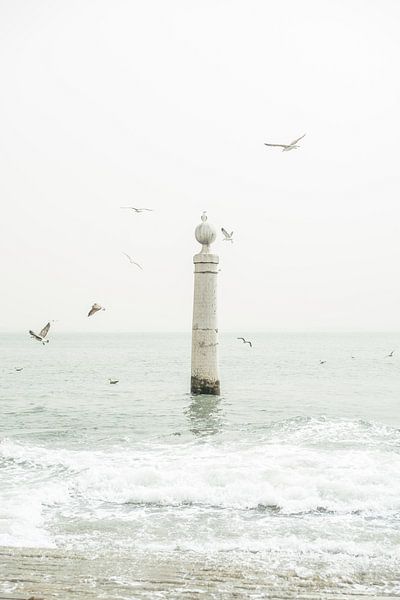 Gulls and Atlantic Ocean by Patrycja Polechonska