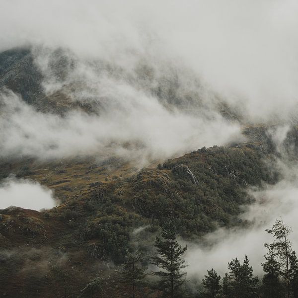 Ben Nevis by Paulien van der Werf