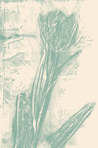 Art botanique abstrait. Tulipe.