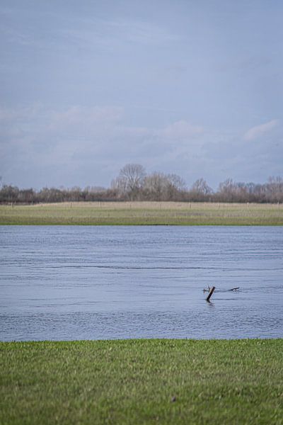 Hollands rivierenlandschap van Mischa Corsius