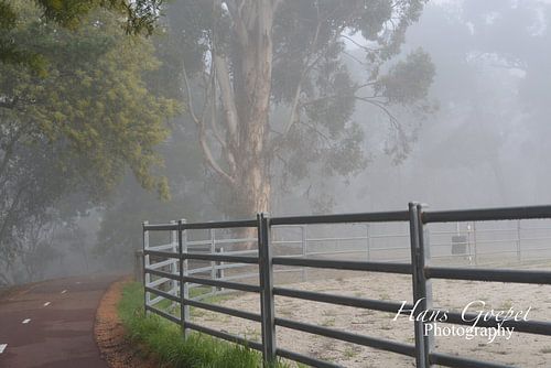 Brücke im unbekannten Nebel