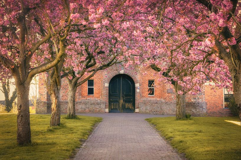 Blütenpracht in der Kloosterkerk - Frühling in Ten Boer von KB Design & Photography (Karen Brouwer)