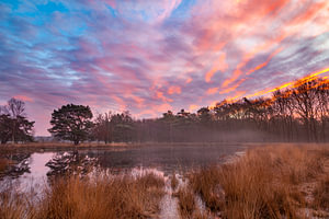 Bunter Sonnenaufgang über nebligem Wasser