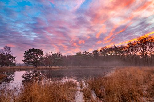 Colourful sunrise above misty water