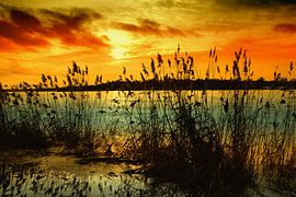Sonnenuntergang von Violetta Honkisz