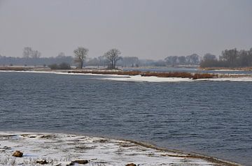 L'hiver aux  plaines inondables sur Frans Blok