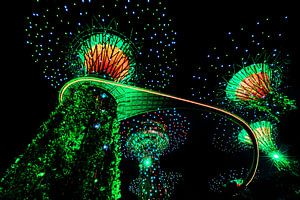 Gardens by the bay lichtshow groen