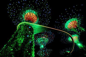Gardens by the bay lichtshow groen van Marco Rutten