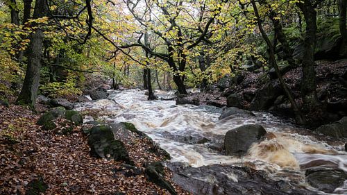 Padley Gorge Herfstlandschap, Engeland
