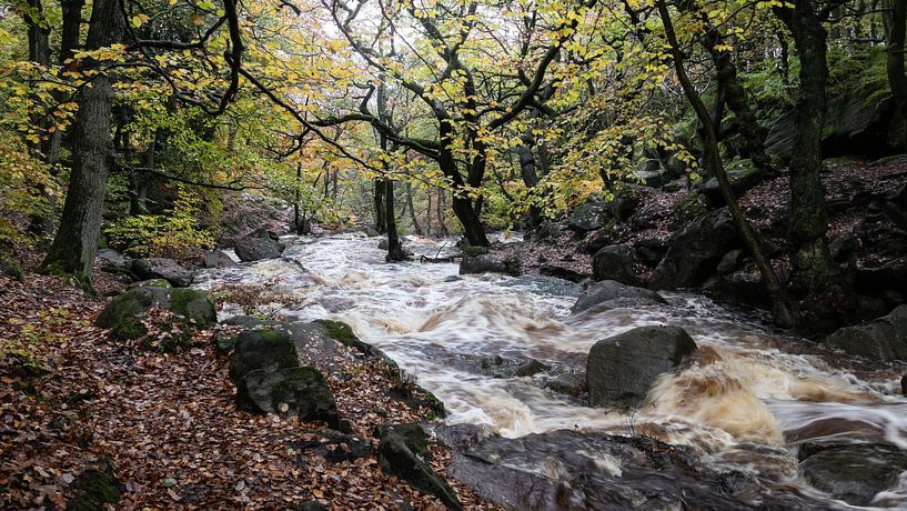 Paysage d'automne des gorges de Padley, Angleterre par Imladris Images