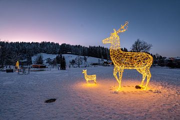 Wintermagie in het park van Oberstaufen van Leo Schindzielorz