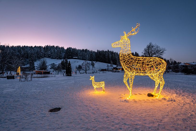 Winter magic in Oberstaufen Park by Leo Schindzielorz