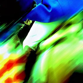 Pferdestärke12 von Willem Hartgers