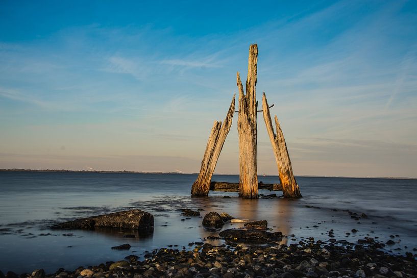 Eagle head Grevelingen - Zealand by Mascha Boot