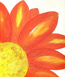 Orangefarbene Chrysantheme von Sandra Steinke