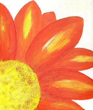 Orangefarbene Chrysantheme von Sandra Steinke