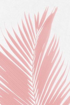 Silhouet roze palmbladeren van amini54