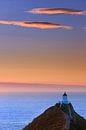 Nugget Point Leuchtturm, Südinsel, Neuseeland von Henk Meijer Photography Miniaturansicht