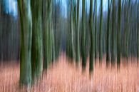 Abstrakter Wald von Joost Lagerweij Miniaturansicht