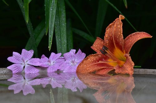 Een boeket van tuinvuur