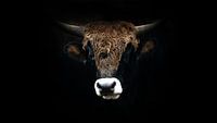 Tauros