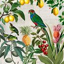 Vogels in een fruitparadijs van Andrea Haase thumbnail
