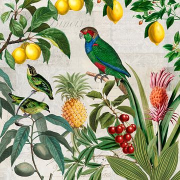 Vogels in een fruitparadijs