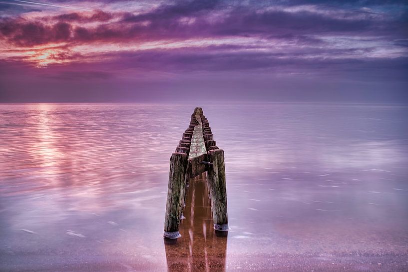 Purple line van Rene scheuneman