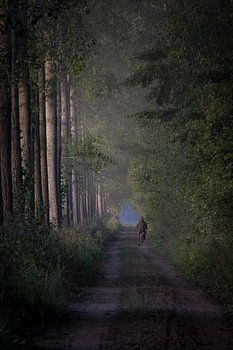 Fietser in het Goor