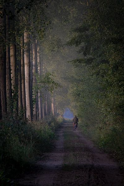 Fietser in het Goor van Hans Monasso