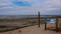 Texel