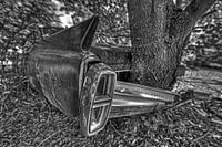 Trees and cars, a long story
