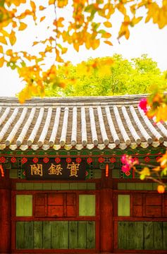 Südkoreanischer Tempel im Herbst. von Ron van der Stappen