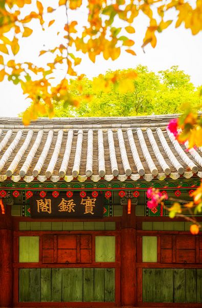 Temple sud-coréen en automne. par Ron van der Stappen