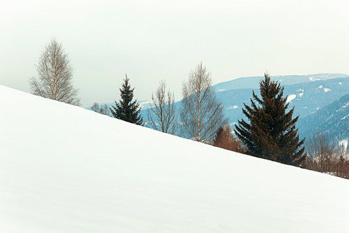 Snowy landscape in Austria