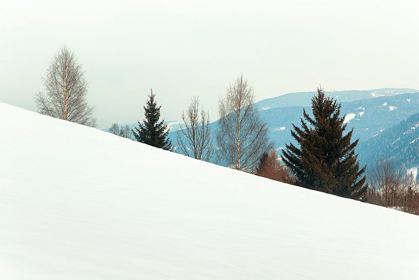 Schneelandschaft in Österreich von Evert Jan Luchies