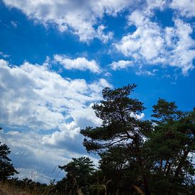 Nederlandse natuur + lucht van Thomas Wapenaar