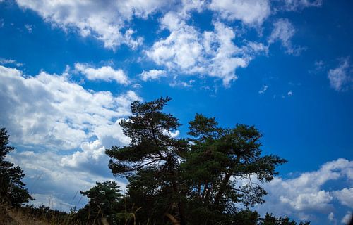 Nederlandse natuur + lucht von Thomas Wapenaar