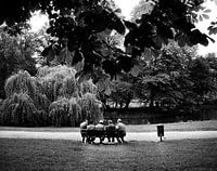 Sitting on a bench