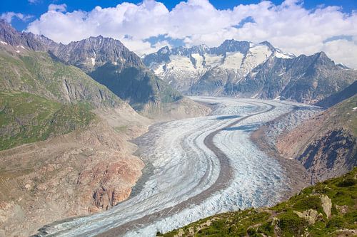 Le grand glacier d'Aletsch vu de Riederalp