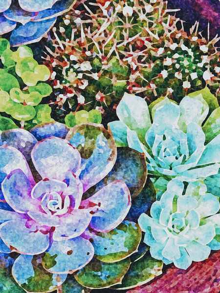 Succulent van FRESH Fine Art