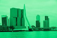 Rotterdam - Erasmusbrug en omgeving - in groene tinten