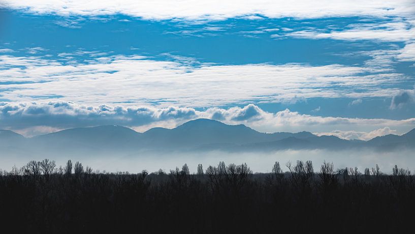 View of the Black Forest by JWB Fotografie